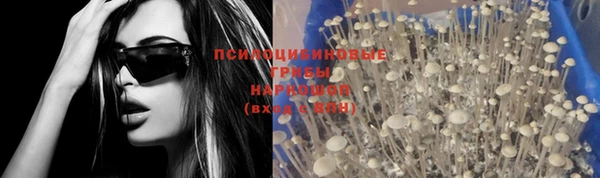 тгк Волосово