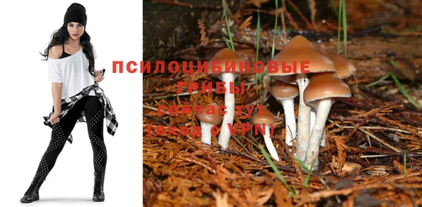бошки Верея