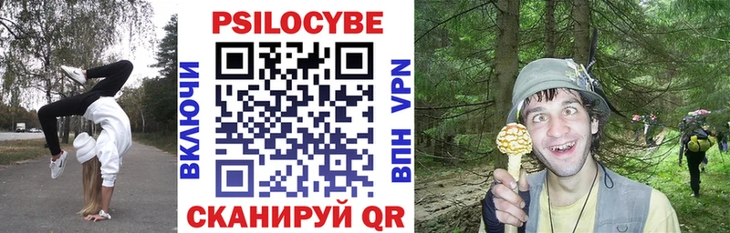 Галлюциногенные грибы Magic Shrooms  цена   Чулым 